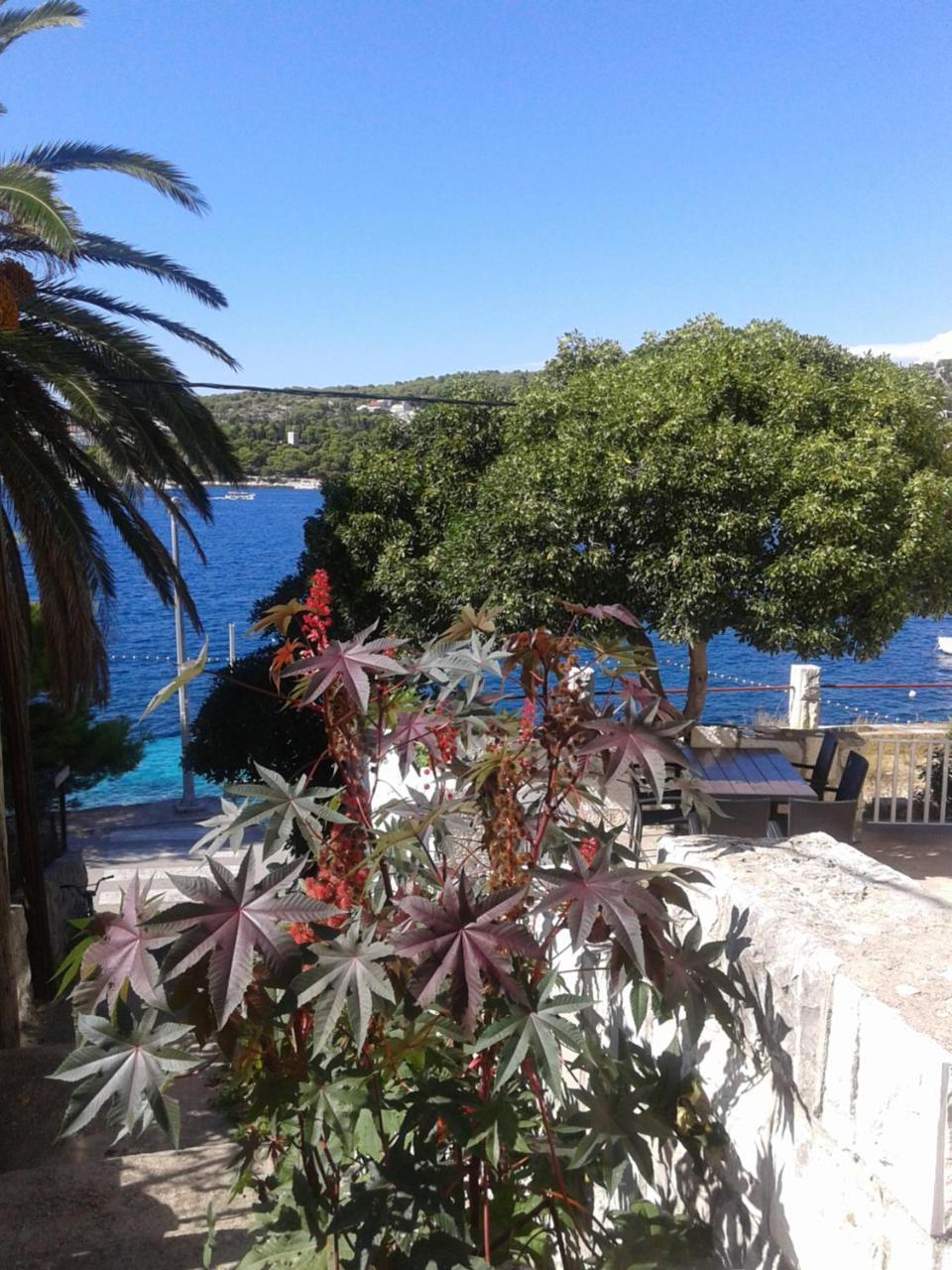 Radosic * Hvar Town